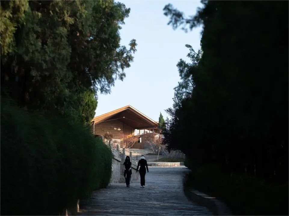 1706976058495021OXra.jpg 14.jpg