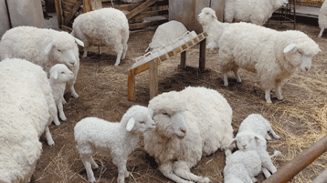 1730446158365865VajD.gif e48fc5dccf4daf6295e81a306e03adb3.gif